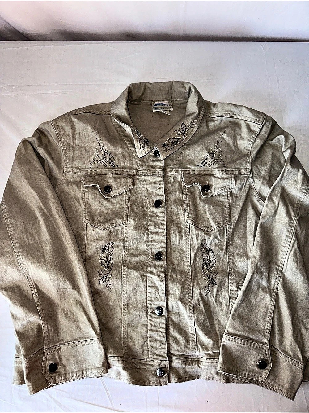 ASCOLAS Embellished Jacket in Beige Size 1X